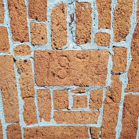 L'orto Del Geo Cavour